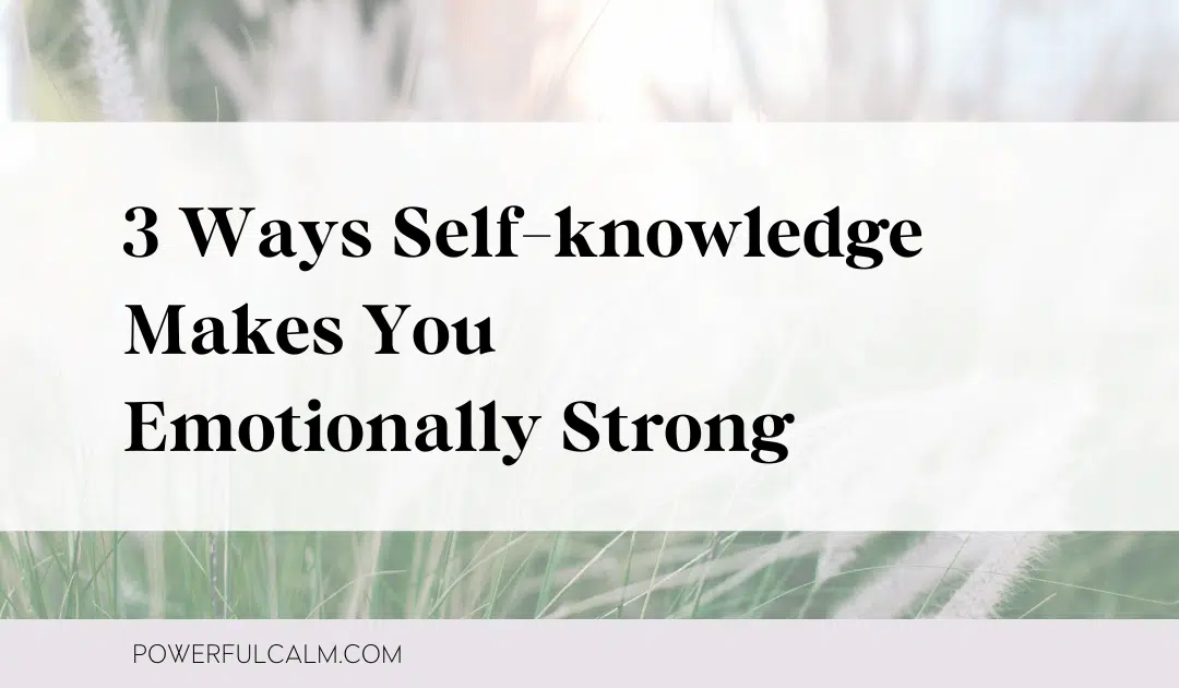 blog title card on an image of wheat that says: 3 Ways Self-knowledge Makes You Emotionally Strong powerfulcalm.com
