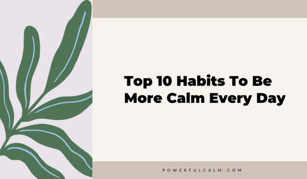 blog title graphic with modern green leaves on a beige background that says, top 10 habits to be more calm every day, powerfulcalm.com